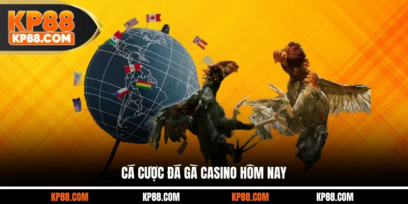 Cá cược đá gà casino hôm nay
