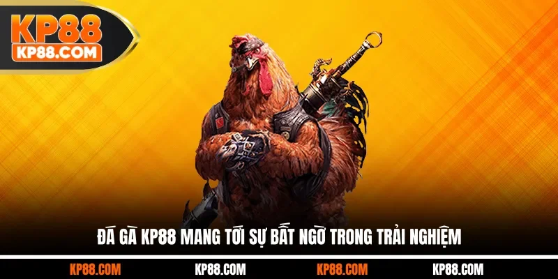 Đá gà KP88 mang tới sự bất ngờ trong trải nghiệm