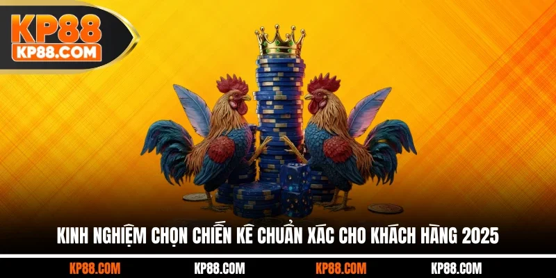 Kinh Nghiệm Chọn Chiến Kê